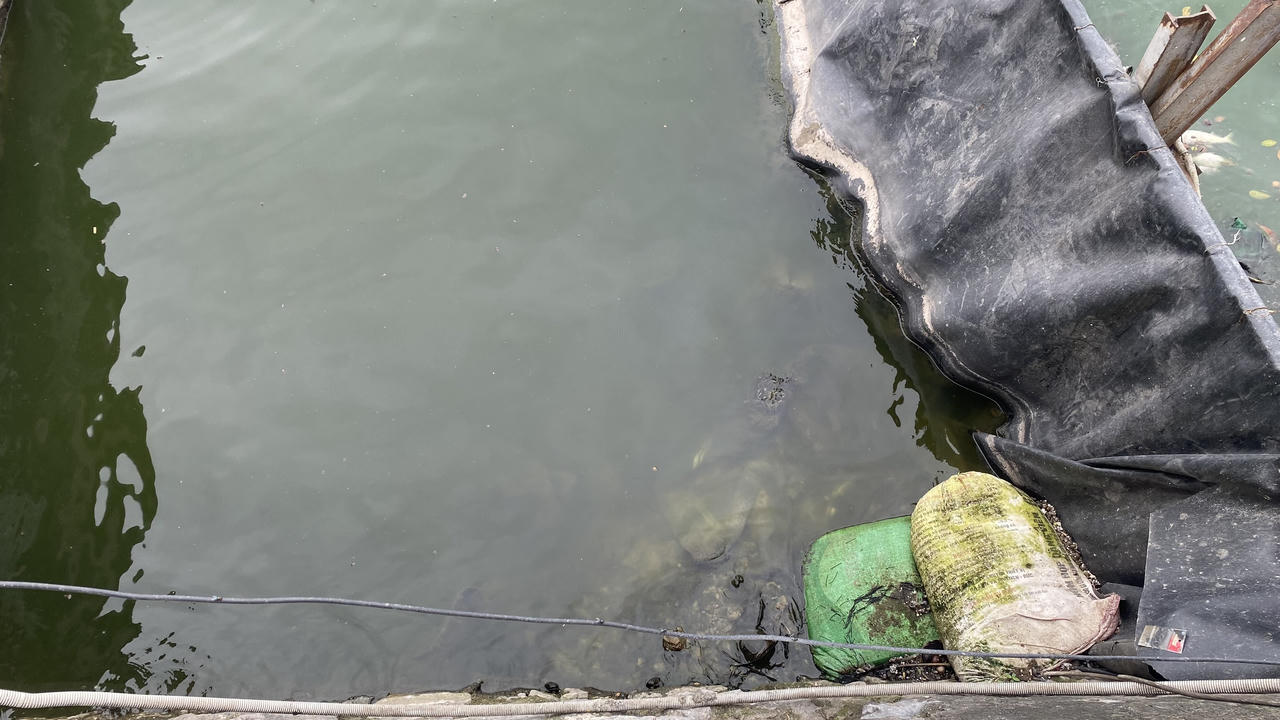 Khu thí điểm xử lý nước thải ở Hồ Tây sau nhiều năm bây giờ ra sao? 