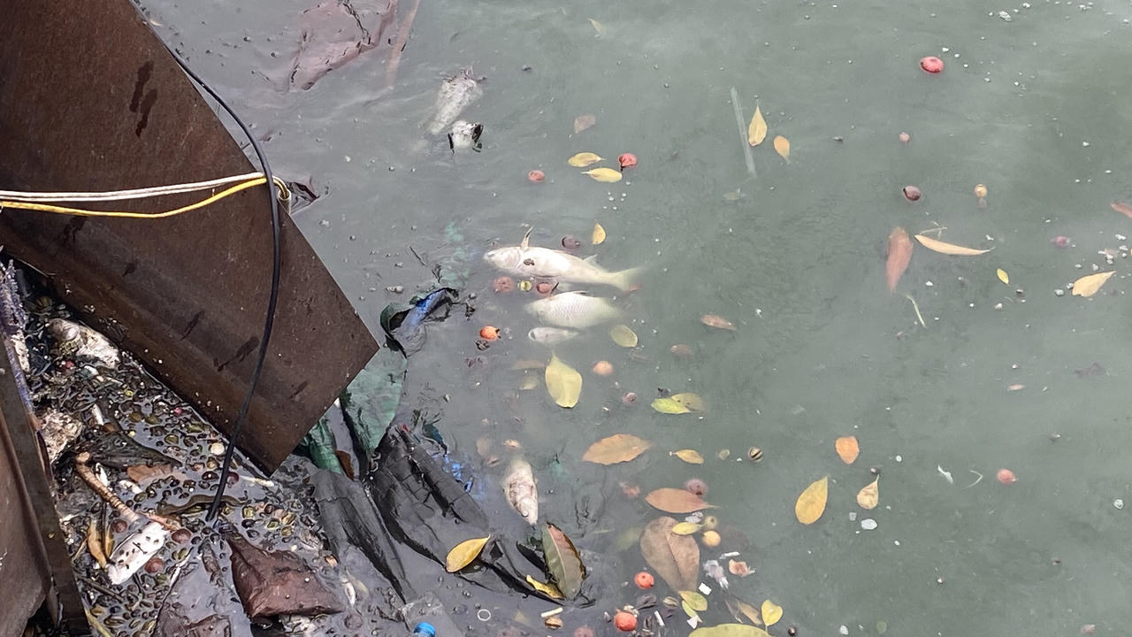 Khu thí điểm xử lý nước thải ở Hồ Tây sau nhiều năm bây giờ ra sao? 