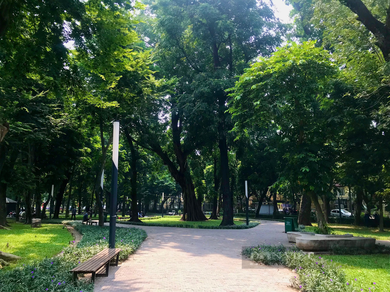 Loạt 'rừng cây' xinh xắn trong lòng Hà Nội 