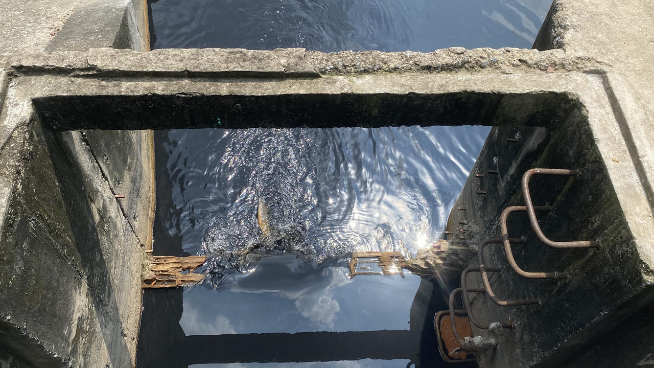 Gần 1 tuần vẫn chưa khắc phục xong sự cố dầu loang hồ Linh Đàm