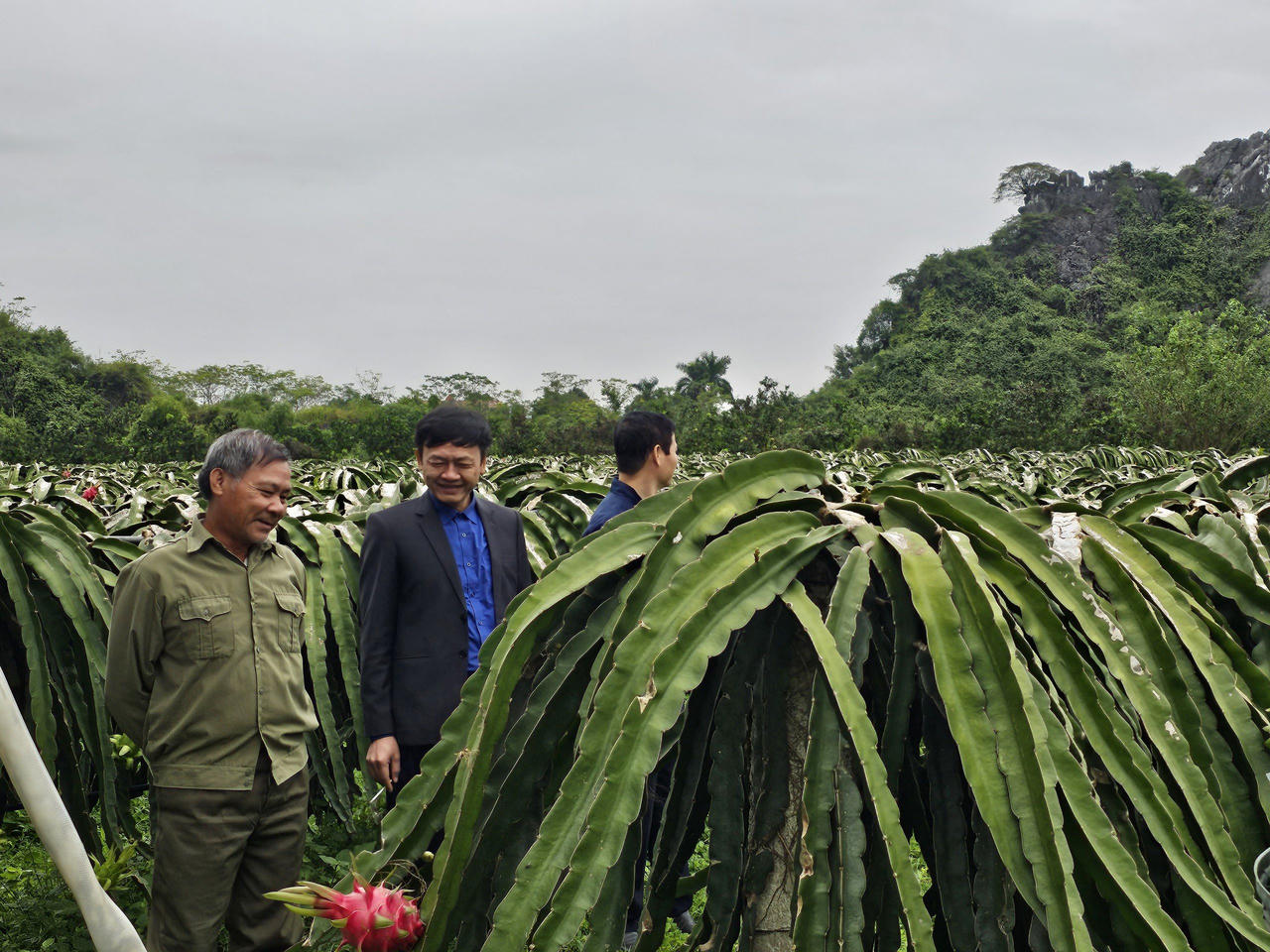 Tỉnh Hòa Bình đã khai thác được tiềm năng, thế mạnh để phát triển sản phẩm OCOP