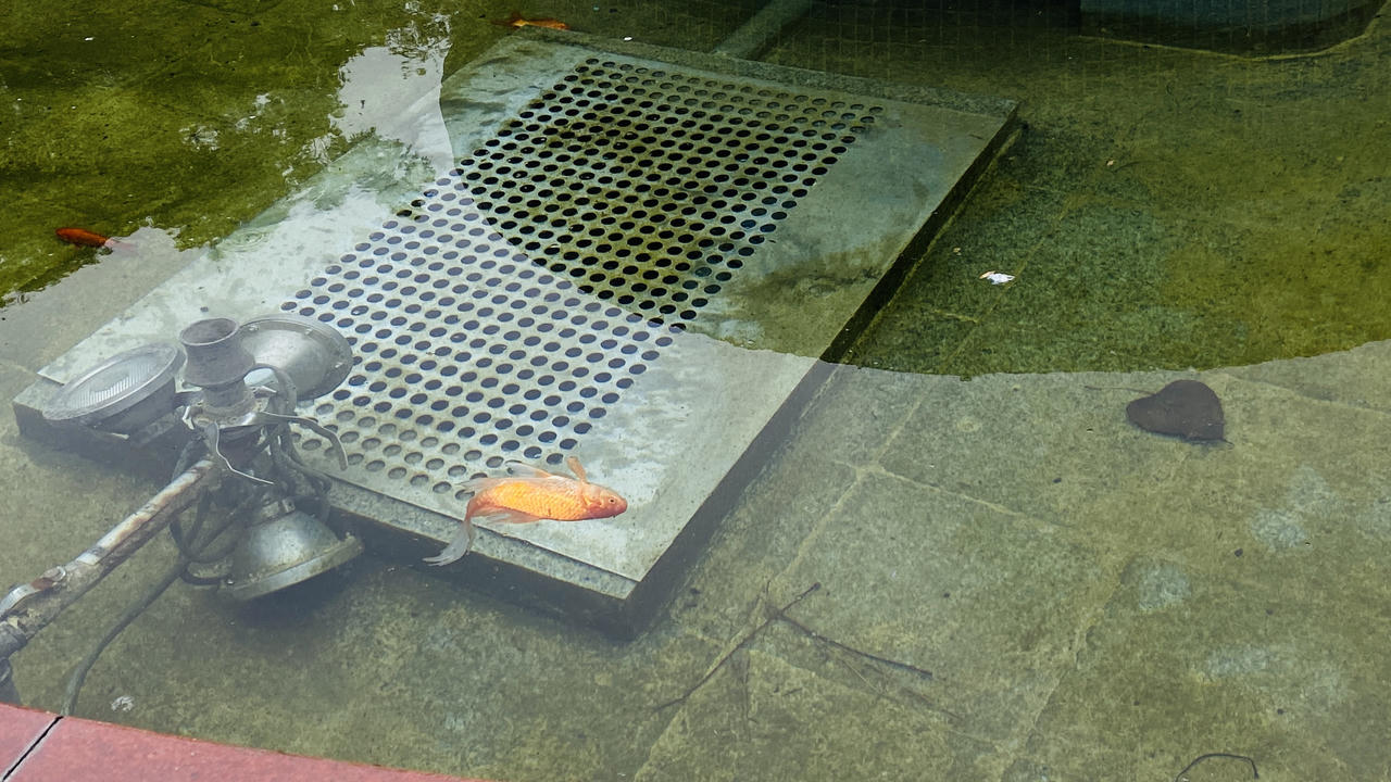 Nhiều hạng mục ở Công viên Cầu Giấy xuống cấp, hoang tàn