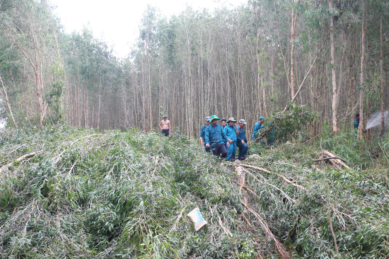 Trắng đêm dập lửa cứu 40ha rừng tràm ở Cà Mau