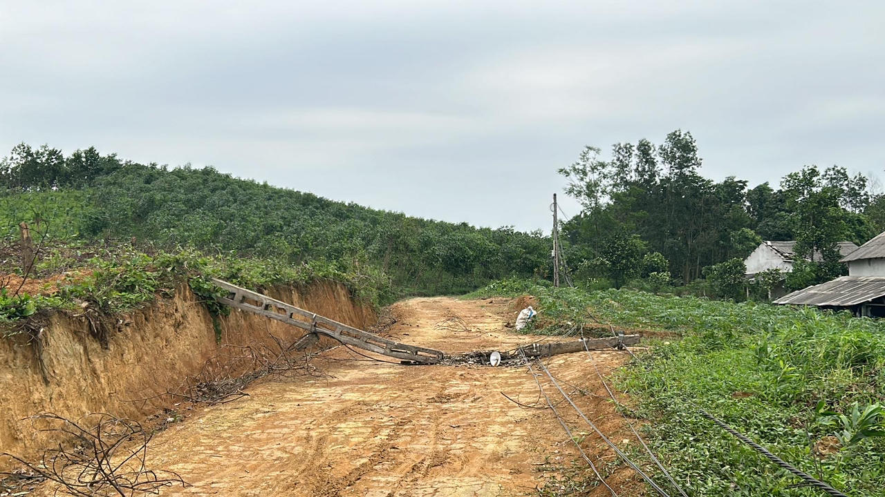 Giông lốc làm đổ cây, tốc mái nhà