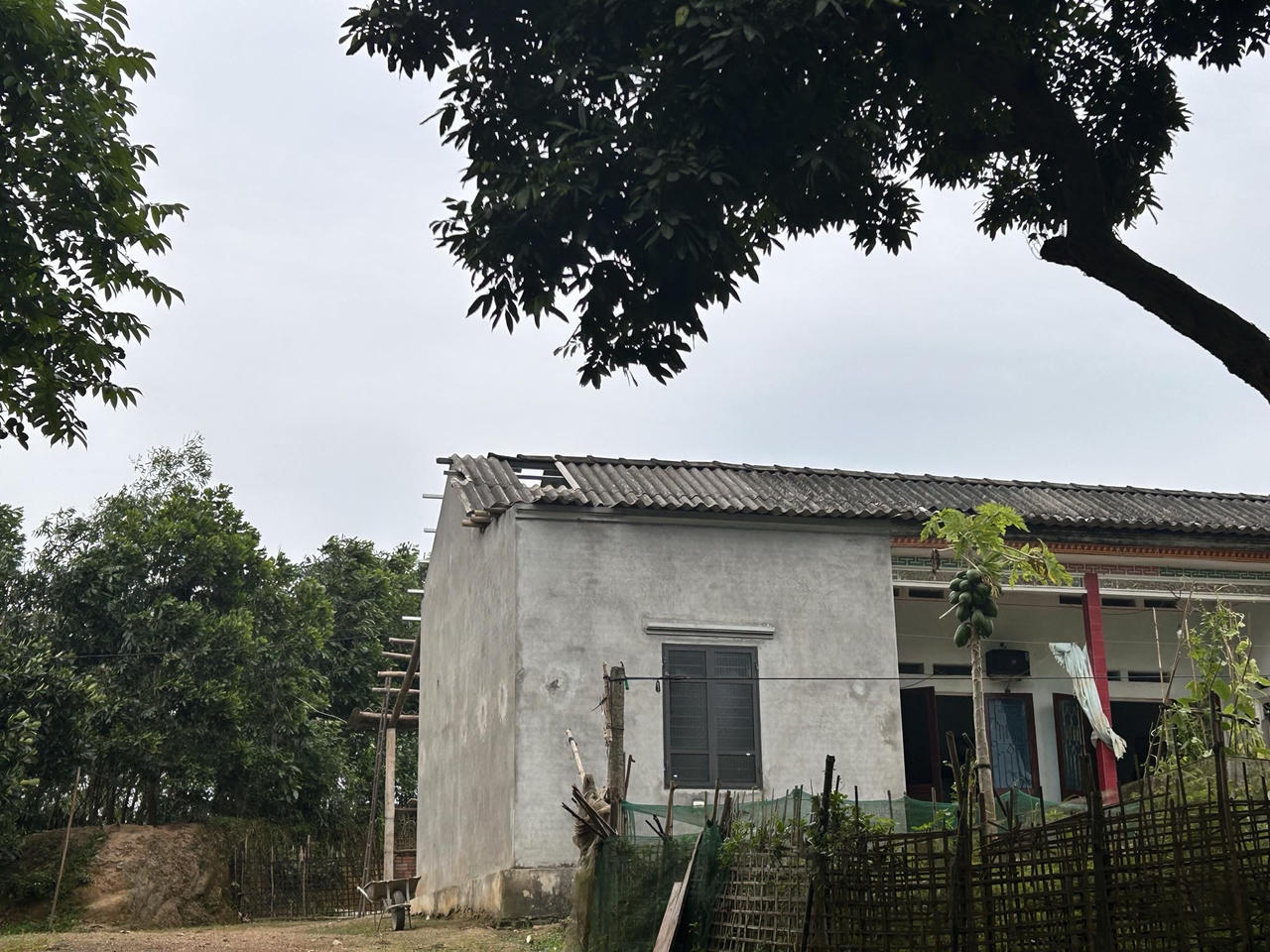 Giông lốc làm đổ cây, tốc mái nhà