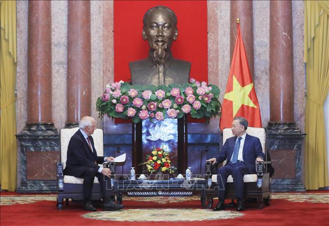 Chủ tịch nước Tô Lâm tiếp Phó Chủ tịch Ủy ban Châu Âu