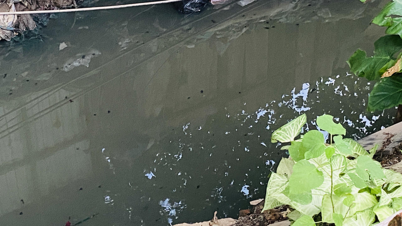 Khốn khổ sống chung với mương nước bốc mùi, đen ngòm giữa lòng Hà Nội