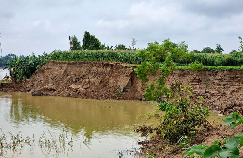 Phú Thọ: Xuất hiện nhiều điểm sạt lở bờ sông sát nhà dân