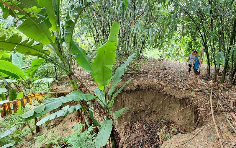 Phú Thọ: Xuất hiện nhiều điểm sạt lở bờ sông sát nhà dân