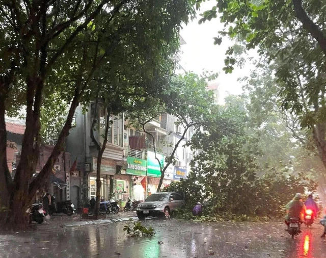 Loạt cây gãy đổ ở Hà Nội trước khi bão số 3 đổ bộ