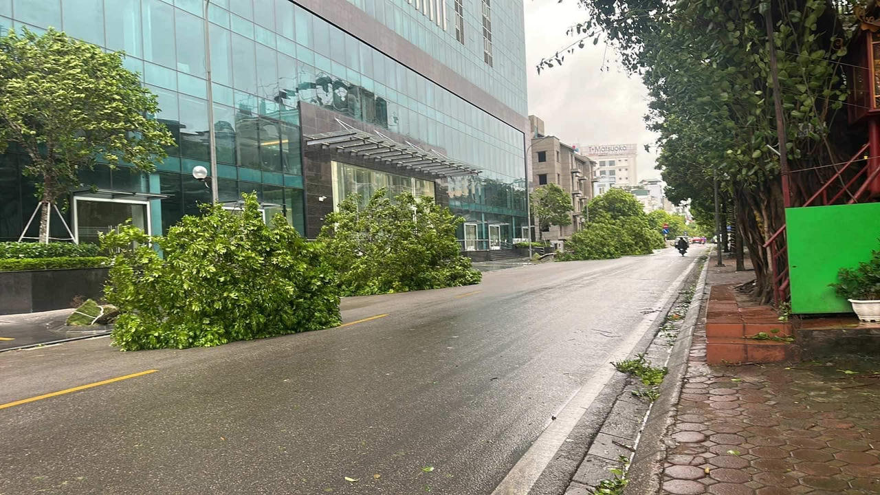 Bão Yagi tàn phá dữ dội, gây thiệt hại nặng nề tại các vùng tâm bão