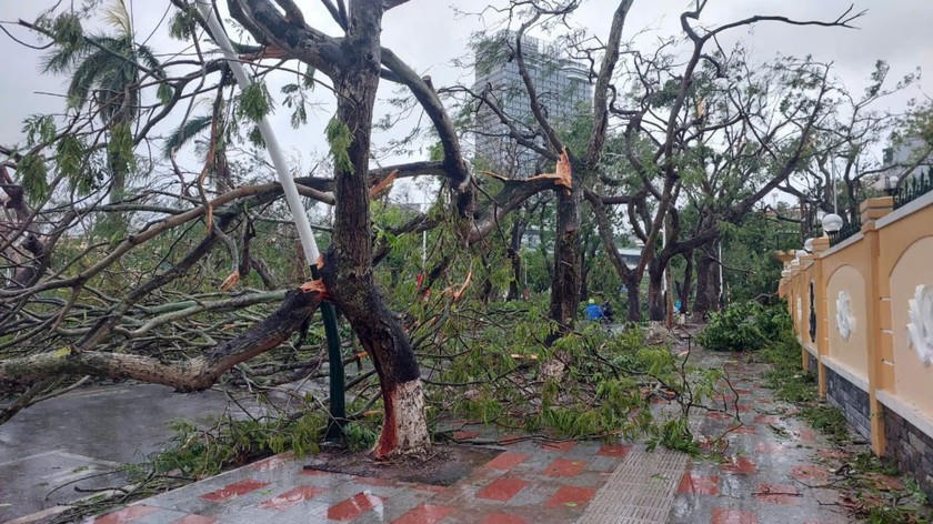 Bão Yagi tàn phá dữ dội, gây thiệt hại nặng nề tại các vùng tâm bão