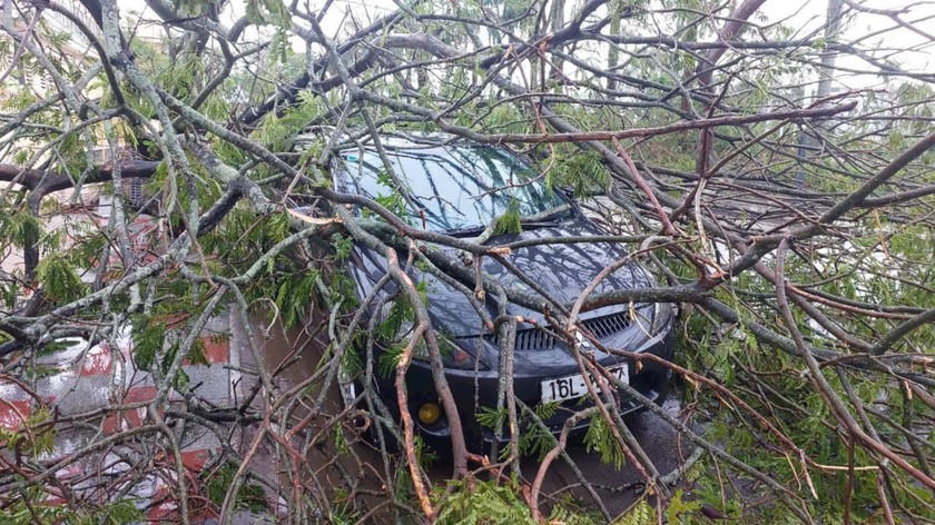 Bão Yagi tàn phá dữ dội, gây thiệt hại nặng nề tại các vùng tâm bão