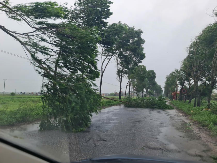 Bão Yagi tàn phá dữ dội, gây thiệt hại nặng nề tại các vùng tâm bão