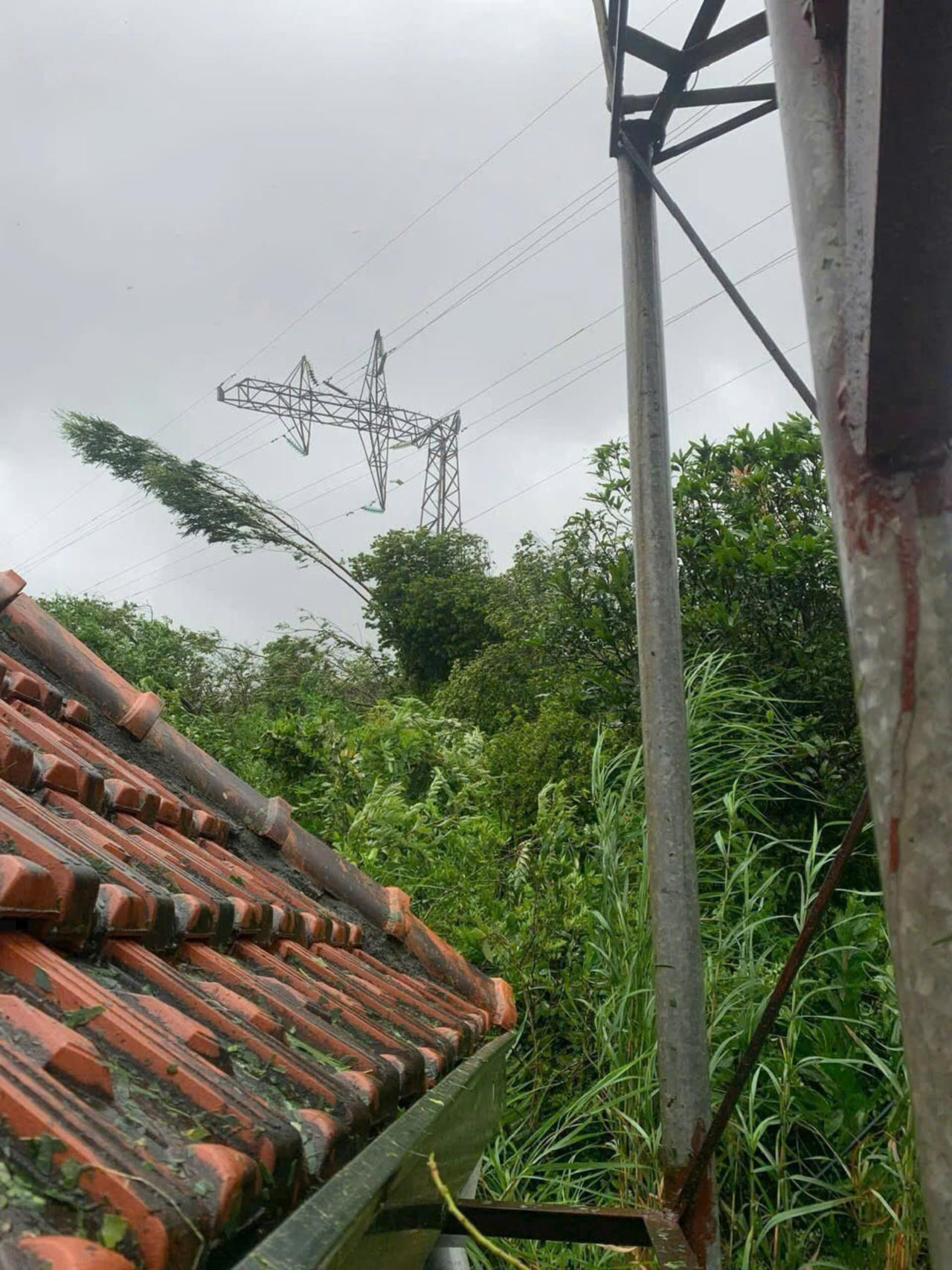 Quảng Ninh khắc phục hậu quả sau bão số 3