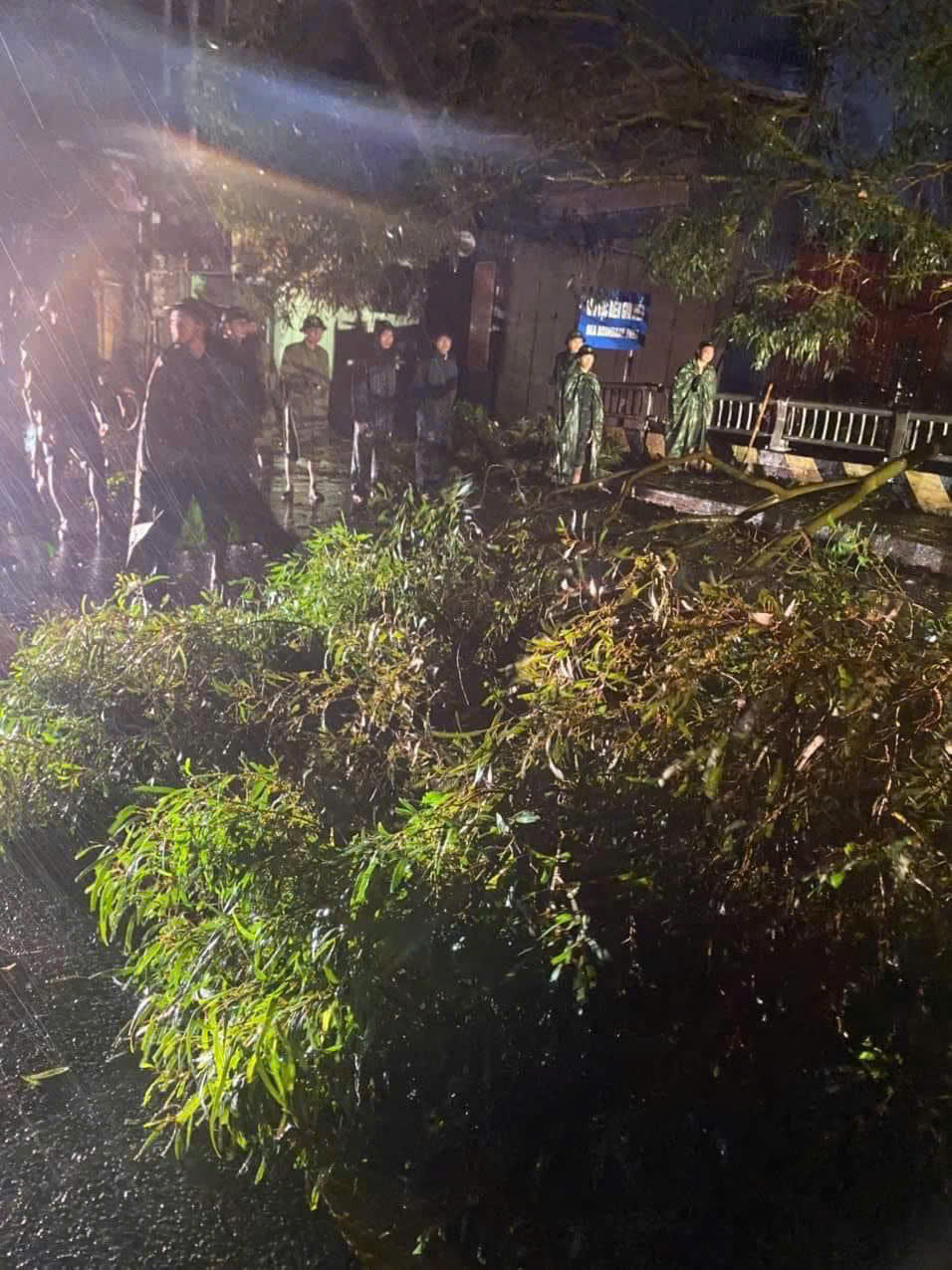 Thái Bình tập trung khắc phục hậu quả sau cơn bão số 3