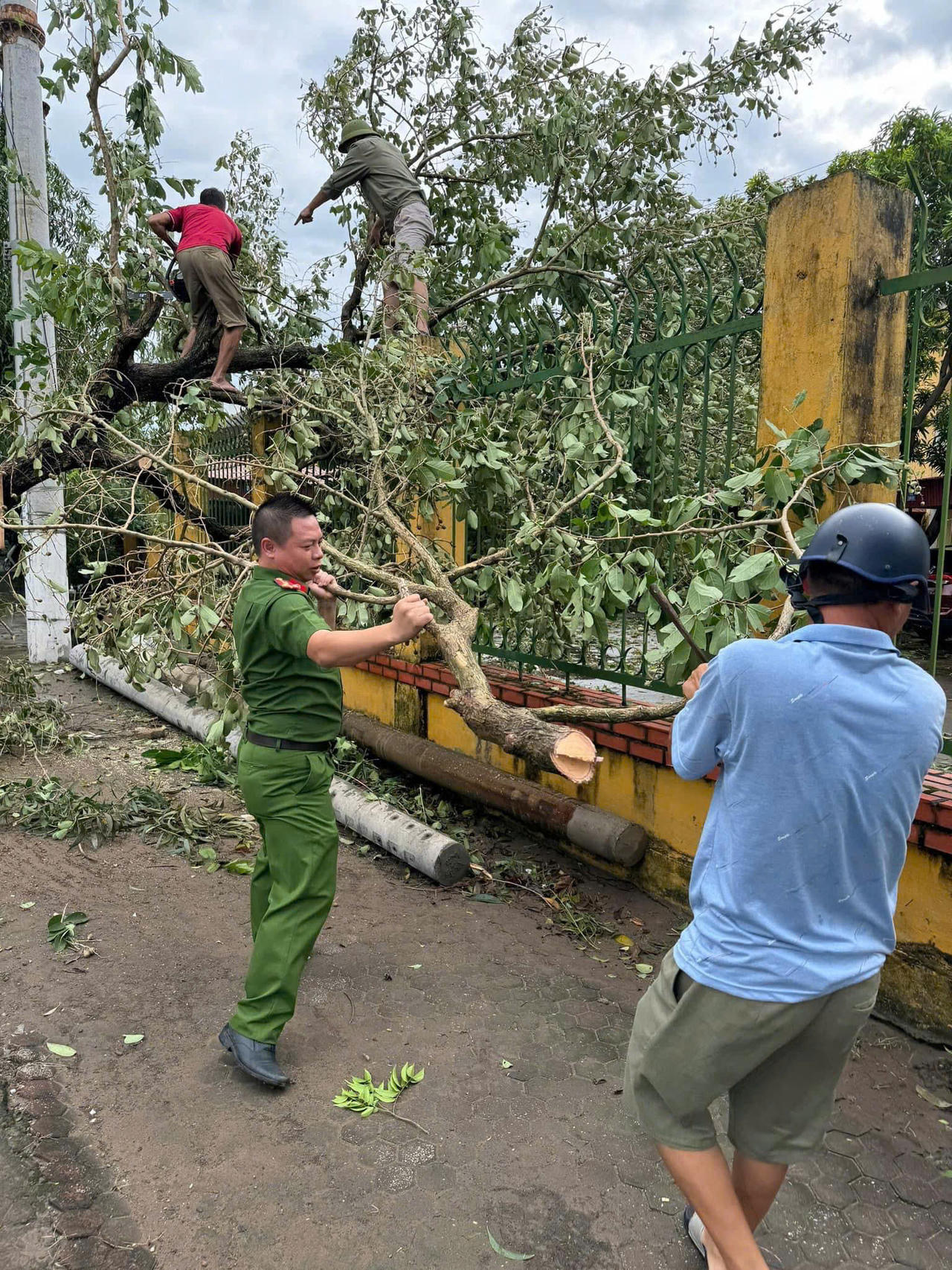 Thái Bình tập trung khắc phục hậu quả sau cơn bão số 3