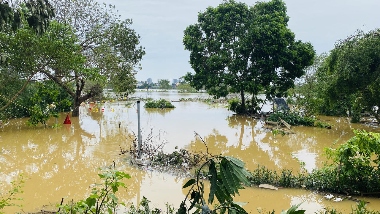 Nước lũ sông Hồng lên nhanh, người dân 'vùng ven' sông bình tĩnh chống lũ