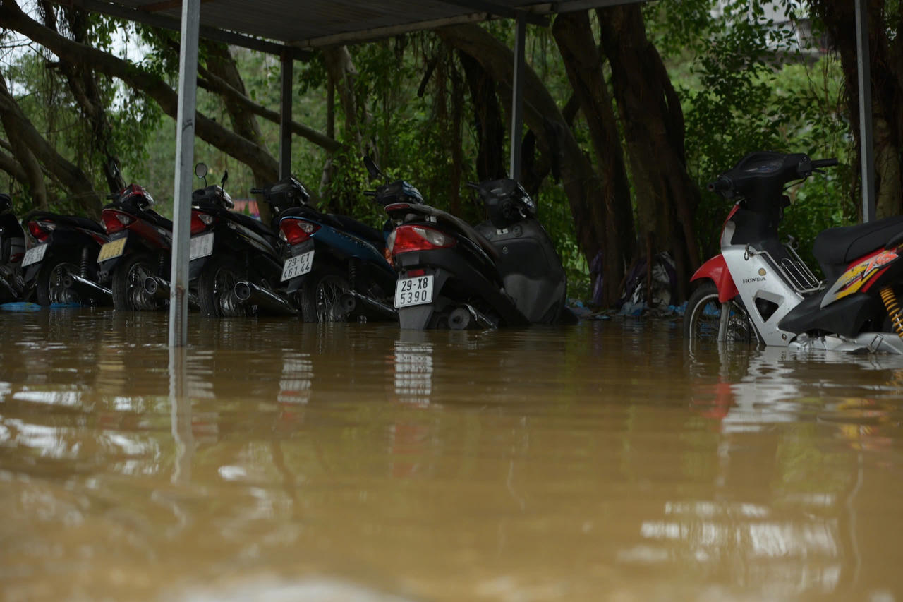 Nước lũ sông Hồng lên nhanh, người dân 'vùng ven' sông bình tĩnh chống lũ