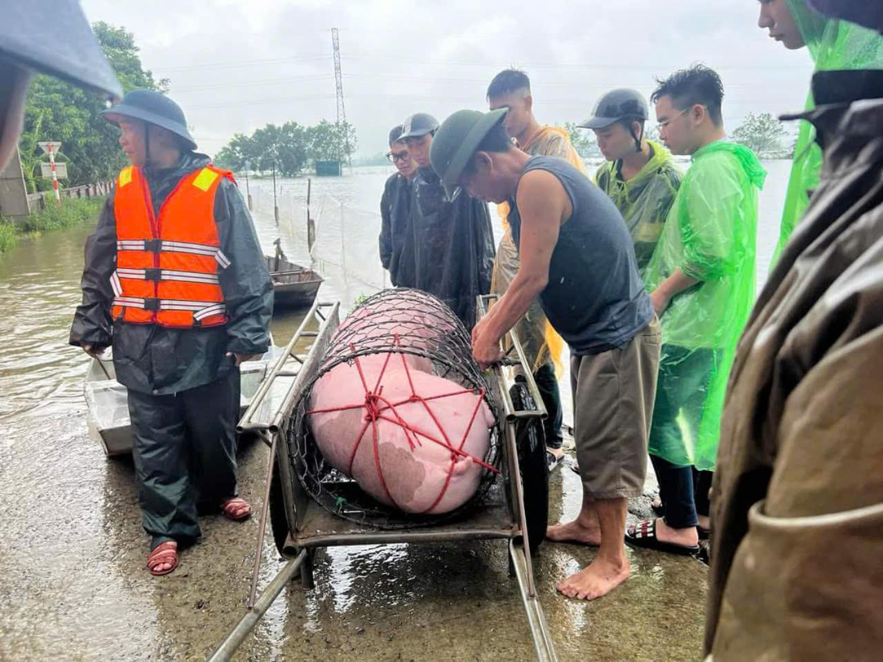Quốc Oai (Hà Nội) hoàn thành di dời 133 hộ dân khỏi vùng lũ nguy hiểm