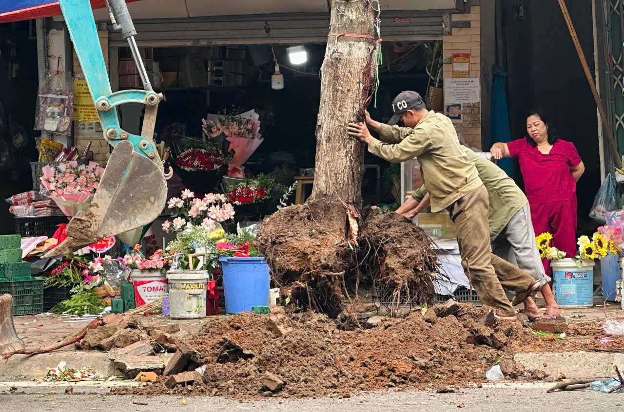 Phố phường Hà Nội ‘thay áo’ sau đợt tổng dọn dẹp tàn dư bão số 3