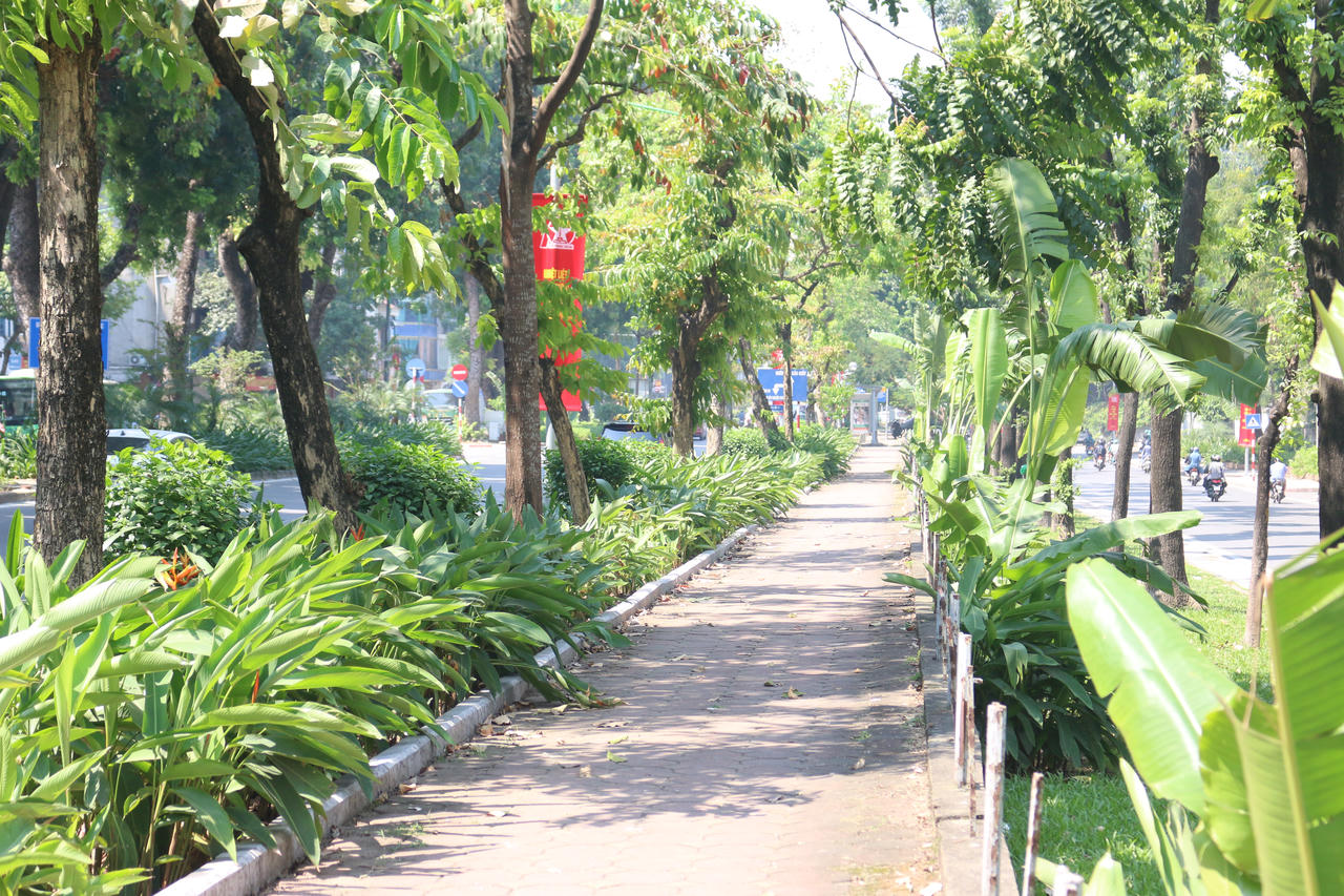 Hà Nội – Những con phố Studio 