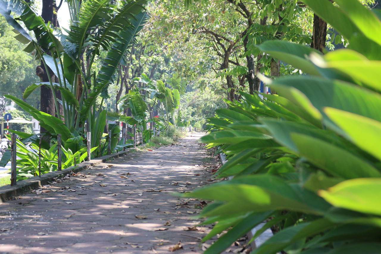 Hà Nội – Những con phố Studio 