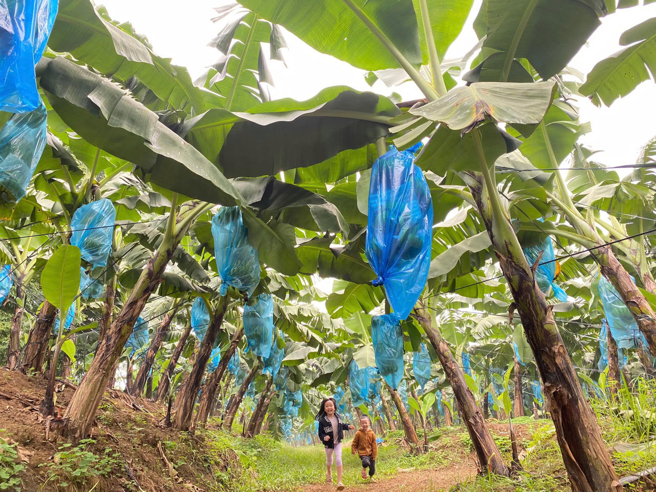 Chàng trai Hòa Bình và hành trình nâng tầm nông sản Việt