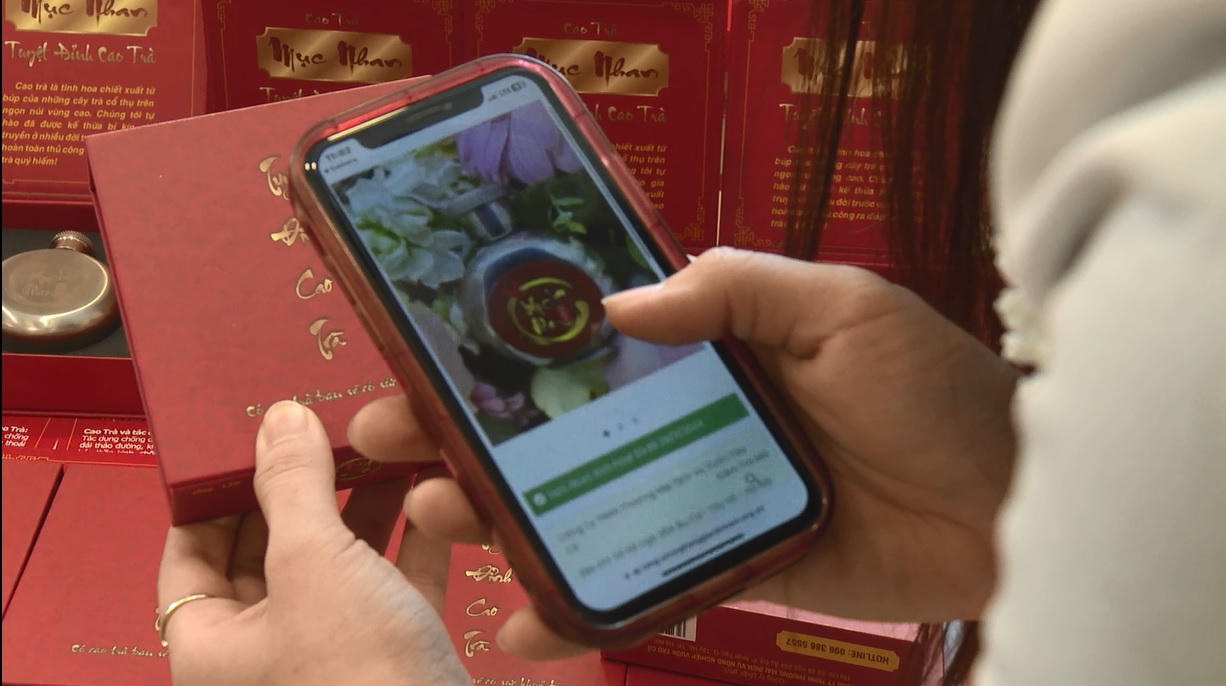 Nữ doanh nhân với khát vọng nâng tầm giá trị trà cổ thụ của người Việt 