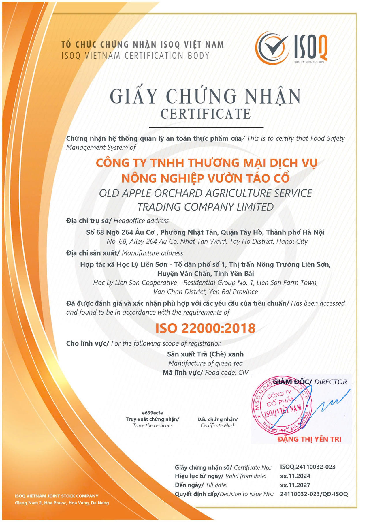 Nữ doanh nhân với khát vọng nâng tầm giá trị trà cổ thụ của người Việt 