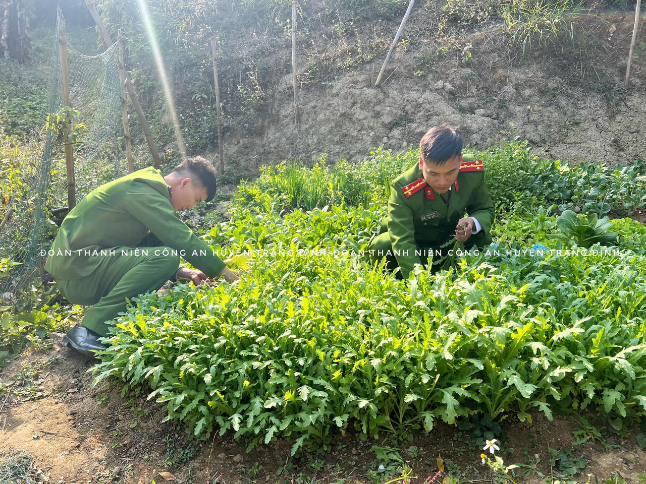 Chiến công dịp Tết của lực lượng công an