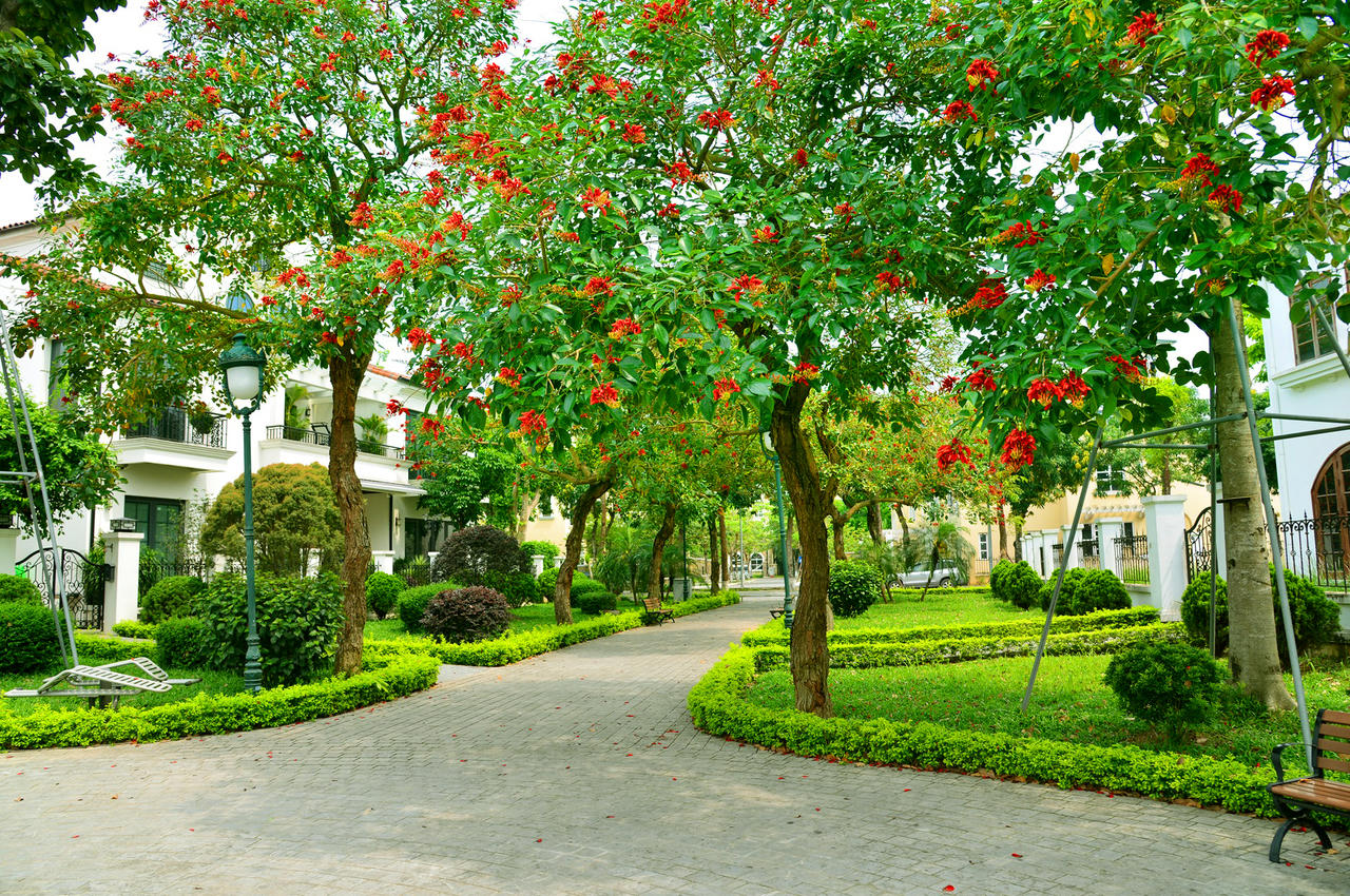 Tháng 5/2025: Những bước tiến mới tại dự án Khu đô thị Nam An Khánh 