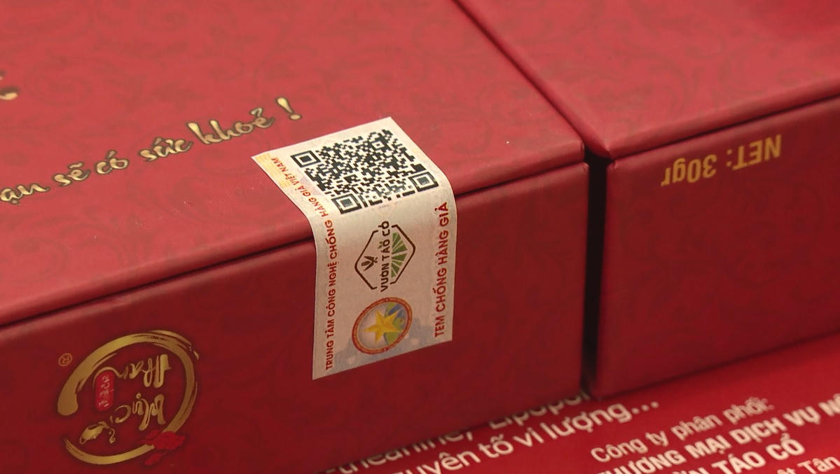 Cao trà mục nhan xác lập Kỷ lục Việt Nam về hàm lượng polyphenol 