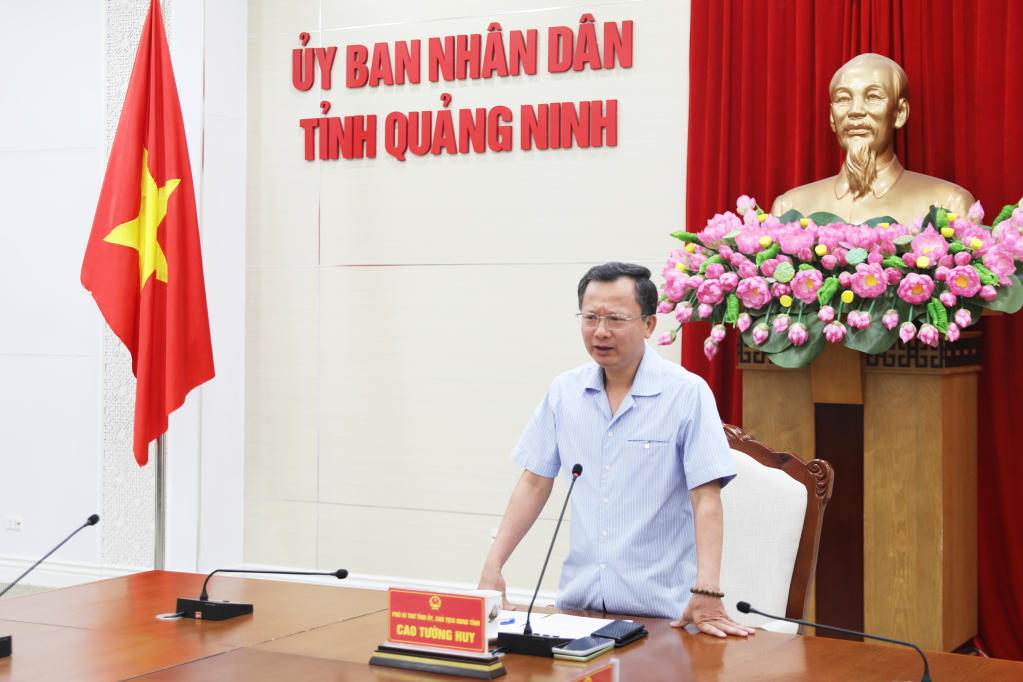 Tổ chức chiến dịch làm sạch Vịnh Hạ Long để đón du khách trở lại