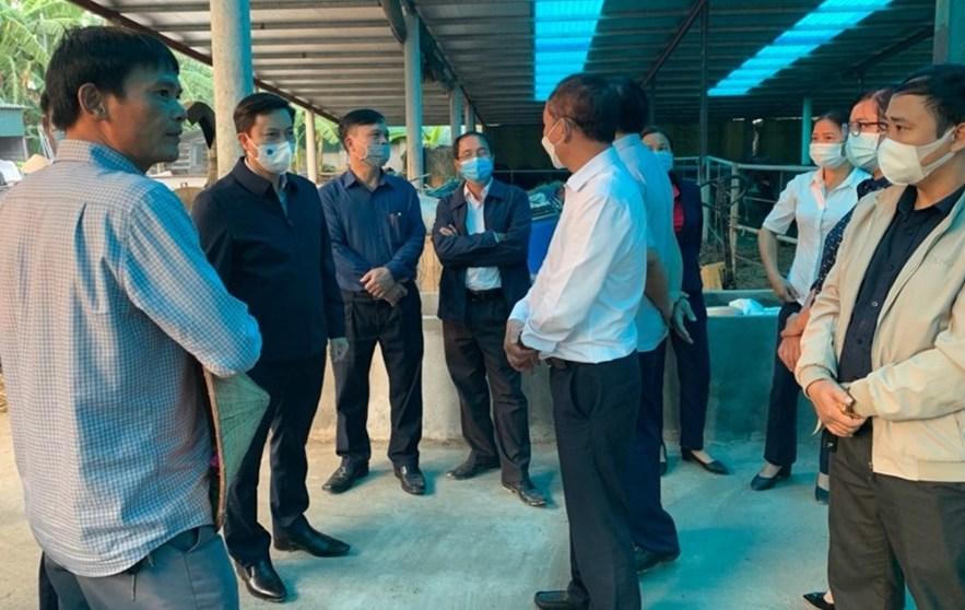 Thái Bình quyết tâm dập dịch tả lợn Châu Phi đang bùng phát