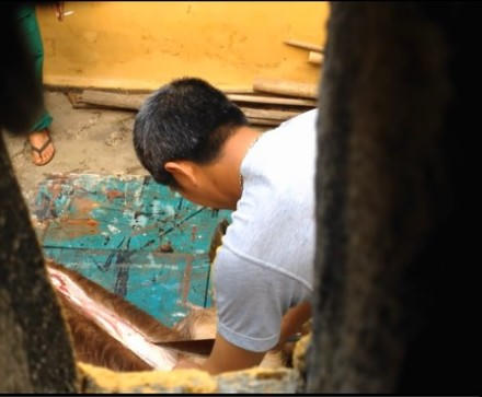 Đà Nẵng: Nhân viên Công viên xẻ thịt nai ngay vườn thú