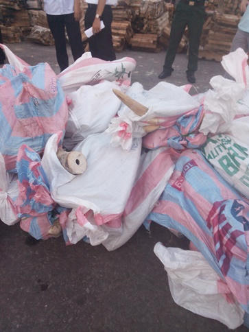 Thưởng “nóng” các lực lượng bắt lượng lớn ngà voi, sừng tê giác "lậu"