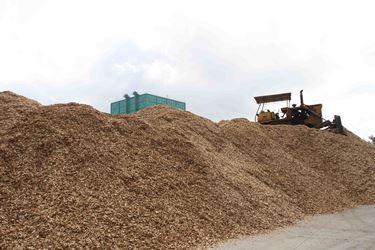 Chính quyền Quảng Ngãi phân biệt doanh nghiệp, "bên trọng, bên khinh"?