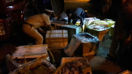 Quảng Nam: Bắt loạt xe chở nội tạng, mỡ động vật hôi thối đi tiêu thụ