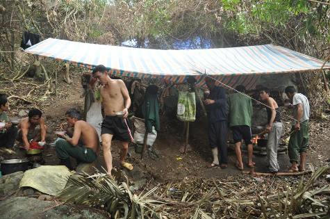 Rừng trên bán đảo Sơn Trà đang bị phá tan hoang