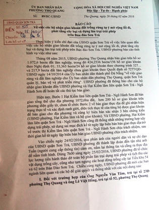 UBND quận phủ nhận vụ phá rừng ở Sơn Trà? 