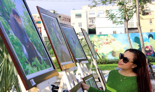 Triển lãm biểu tượng bảo vệ môi trường mới của Đà Nẵng