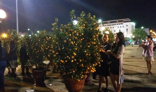 Bí thư Đà Nẵng thăm, chúc Tết lực lượng làm nhiệm vụ đêm giao thừa