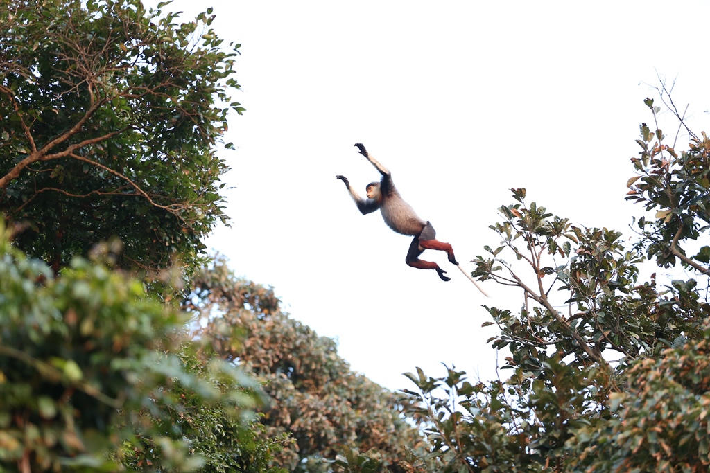 Tháng 5 dạo bước Sơn Trà