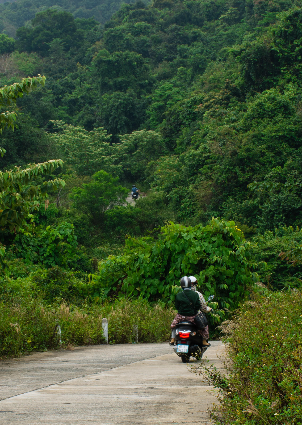 Tháng 5 dạo bước Sơn Trà