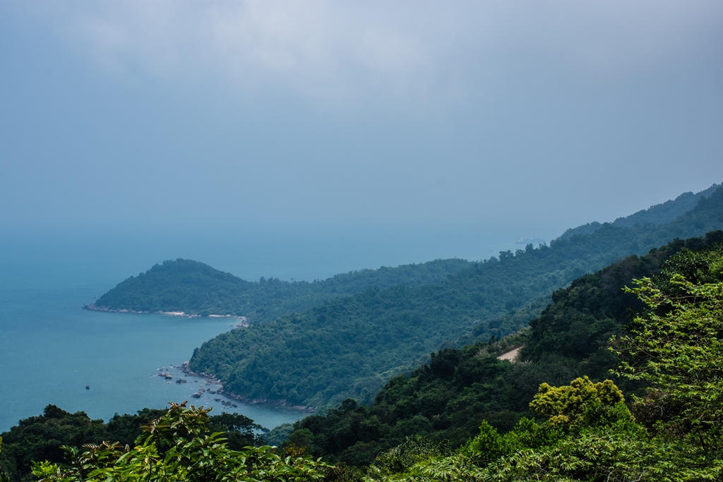 Đà Nẵng báo cáo Thủ tướng về quy hoạch Sơn Trà