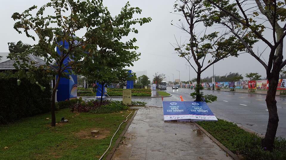 Đà Nẵng mưa to, gió giật cấp 9, loạt cây xanh, pano trang trí APEC bị ngã đổ