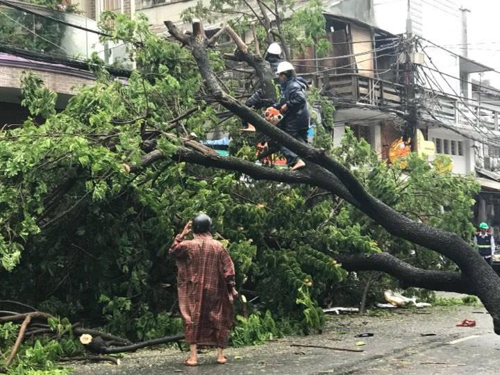 Đà Nẵng mưa to, gió giật cấp 9, loạt cây xanh, pano trang trí APEC bị ngã đổ