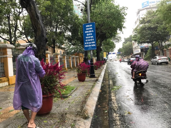 Đà Nẵng mưa to, gió giật cấp 9, loạt cây xanh, pano trang trí APEC bị ngã đổ