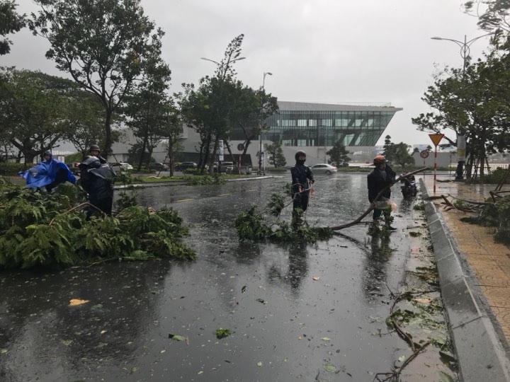 Đà Nẵng mưa to, gió giật cấp 9, loạt cây xanh, pano trang trí APEC bị ngã đổ